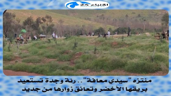 منتزه “سيدي معافة”.. رئة وجدة تستعيد بريقها الأخضر وتعانق زوارها من جديد