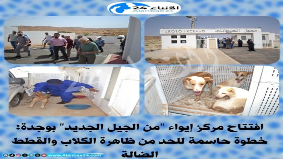 افتتاح مركز إيواء “من الجيل الجديد” بوجدة: خطوة حاسمة للحد من ظاهرة الكلاب والقطط الضالة
